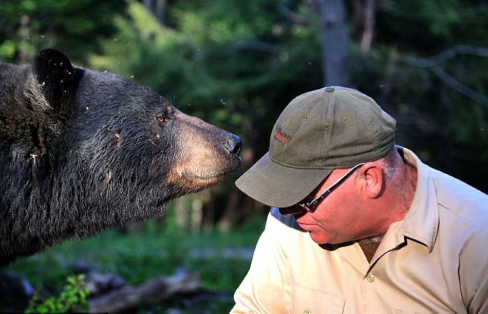 加男子与熊亲近被称黑熊耳语者