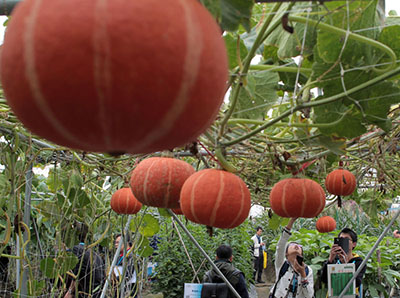 第十四届广东种博会开幕 近6000个国内外良种