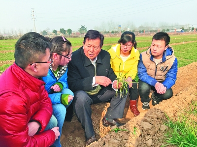 西北农林科技大学教授王辉:一生做好一件事_央